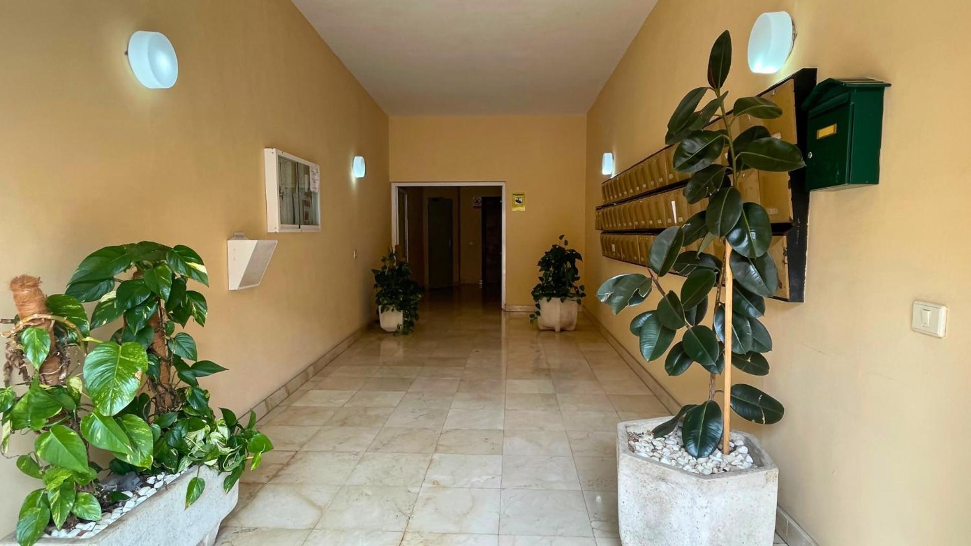 Markethome Jardines Del Mar Pool View Puerto de Santiago  Eksteriør bilde